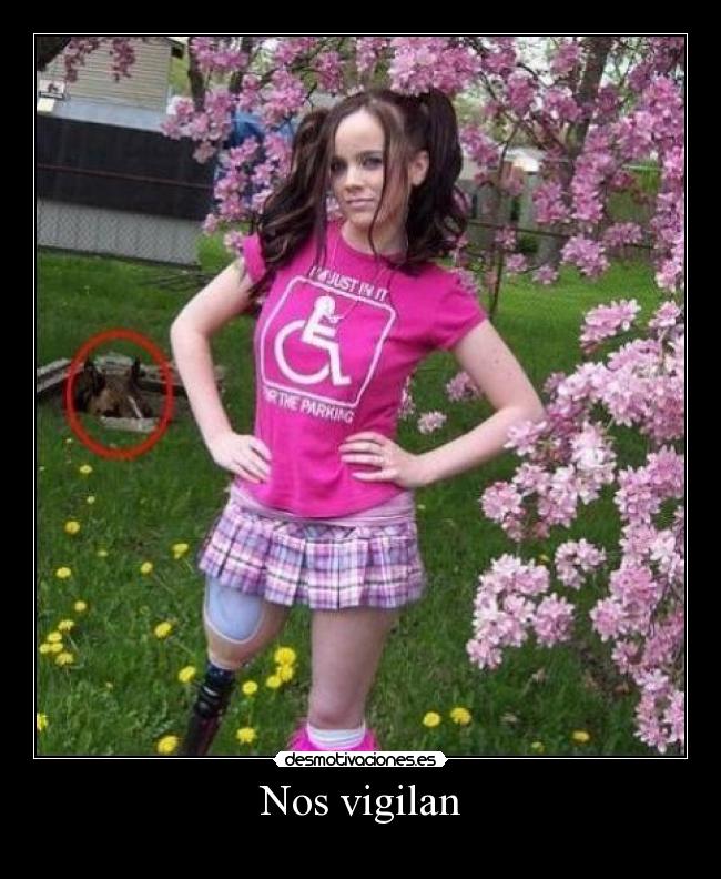 Nos vigilan -