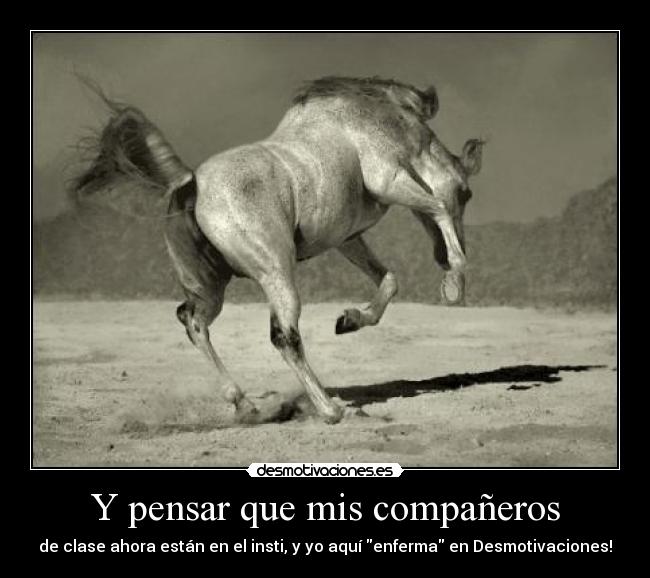 Y pensar que mis compañeros - de clase ahora están en el insti, y yo aquí enferma en Desmotivaciones!