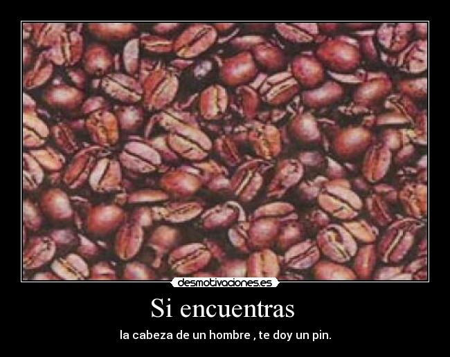 Si encuentras  - la cabeza de un hombre , te doy un pin.