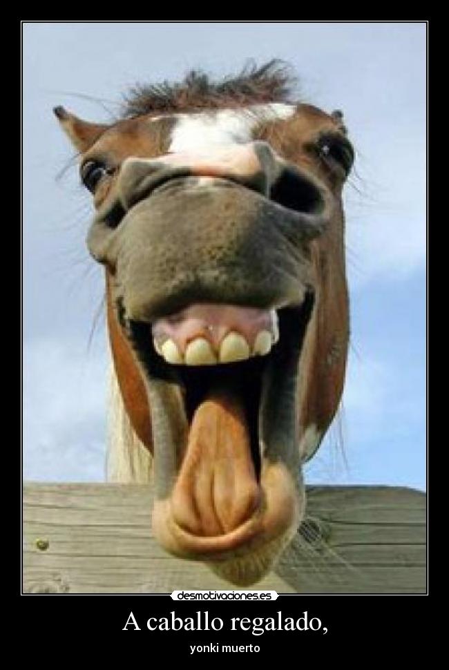 A caballo regalado, - yonki muerto