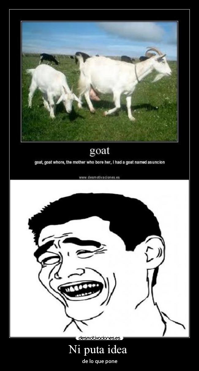 Ni puta idea -