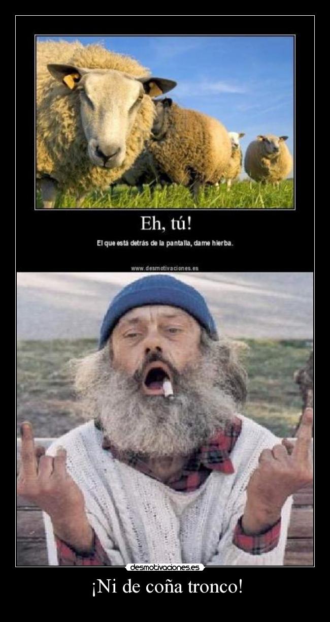 ¡Ni de coña tronco! - 