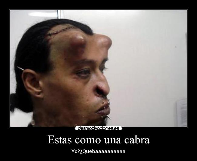 carteles como una cabra desmotivaciones