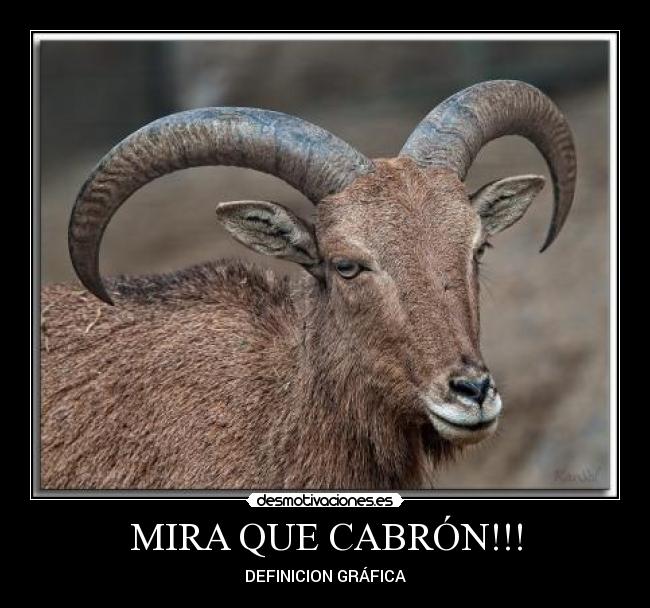 MIRA QUE CABRÓN!!! - DEFINICION GRÁFICA