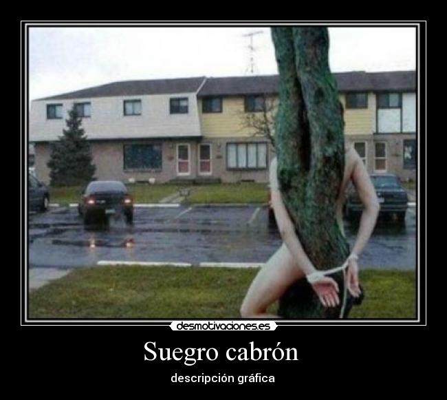 Suegro cabrón  - 