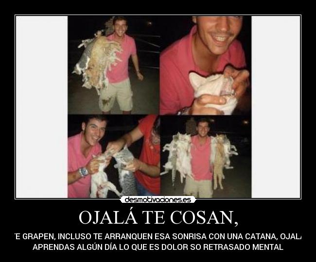 carteles yolanda22 desmotivaciones