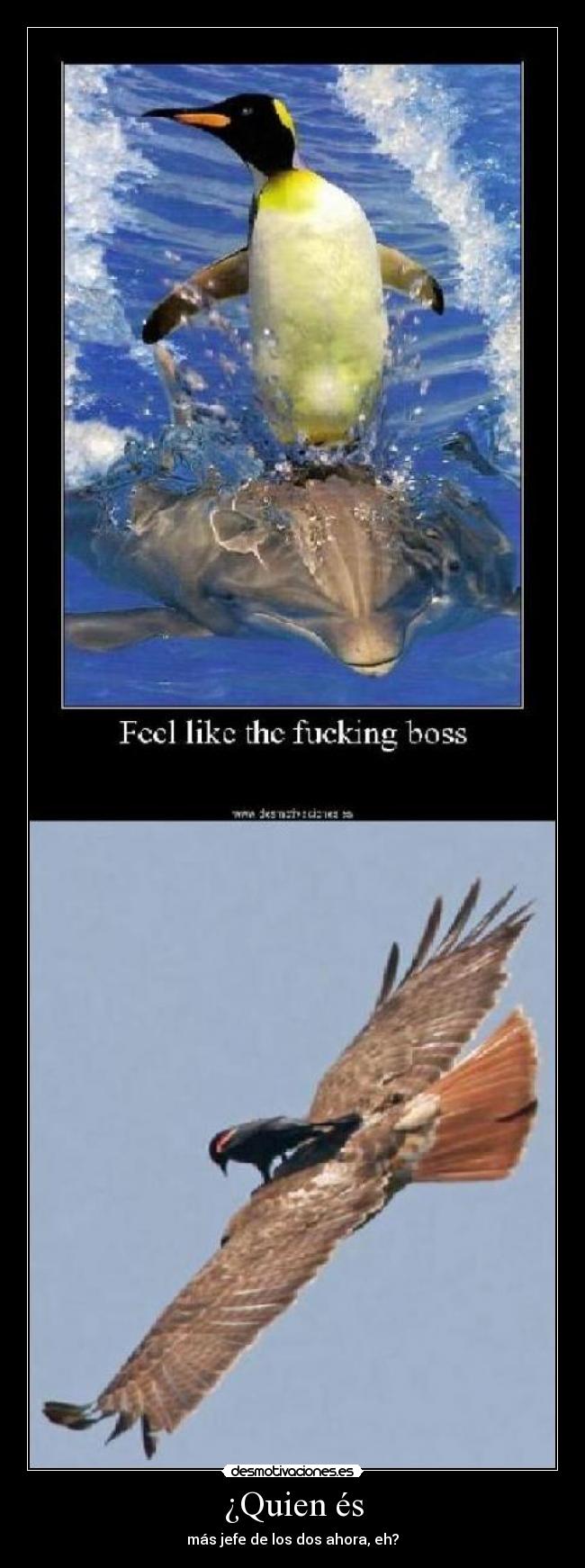 ¿Quien és - más jefe de los dos ahora, eh?