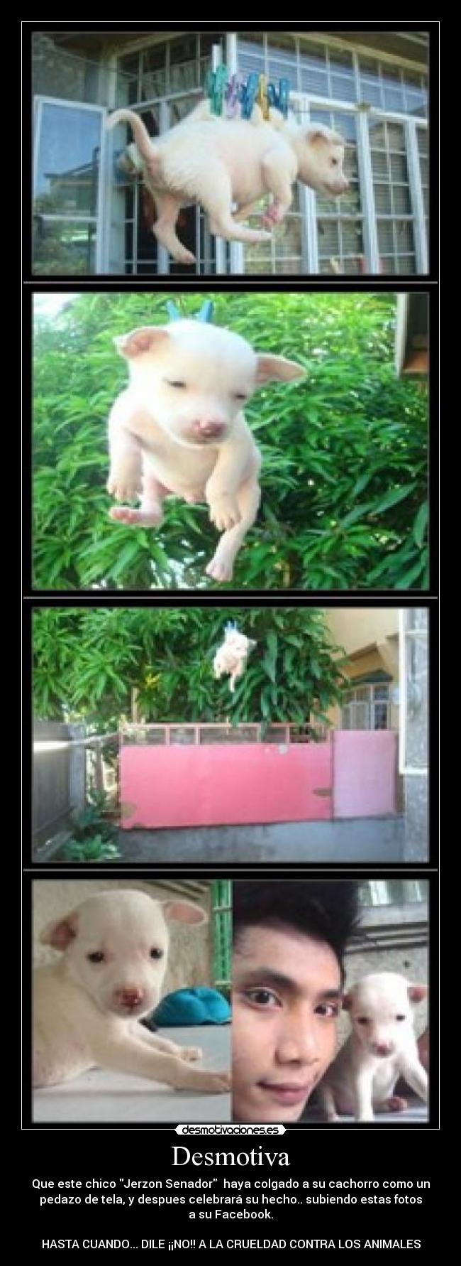 Desmotiva - Que este chico Jerzon Senador  haya colgado a su cachorro como un
pedazo de tela, y despues celebrará su hecho.. subiendo estas fotos
a su Facebook.

HASTA CUANDO... DILE ¡¡NO!! A LA CRUELDAD CONTRA LOS ANIMALES