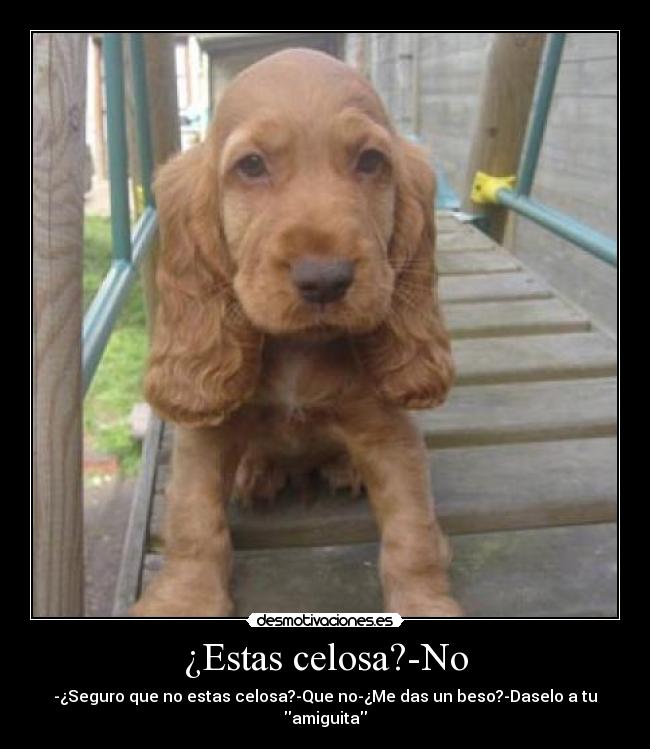 ¿Estas celosa?-No -
