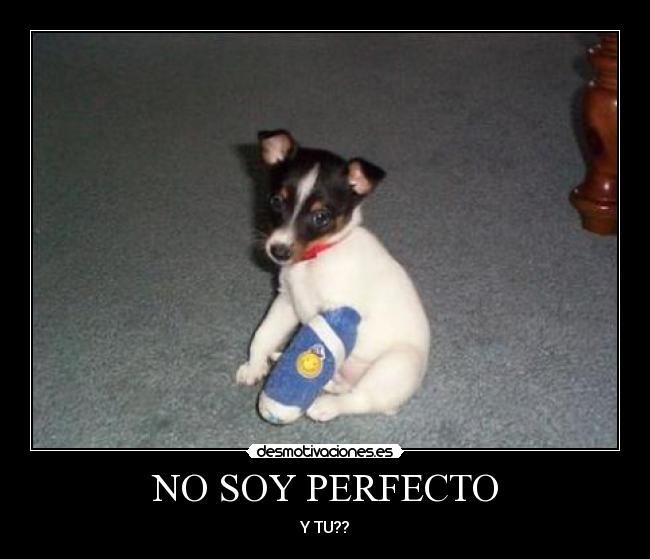 NO SOY PERFECTO - 