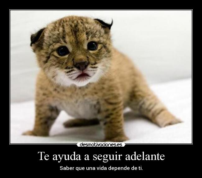 Te ayuda a seguir adelante - Saber que una vida depende de ti.