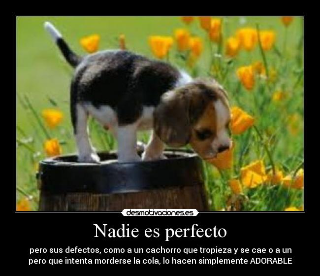 Nadie es perfecto -