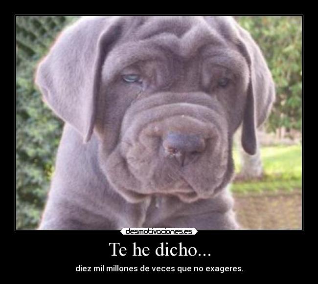 Te he dicho... - diez mil millones de veces que no exageres.