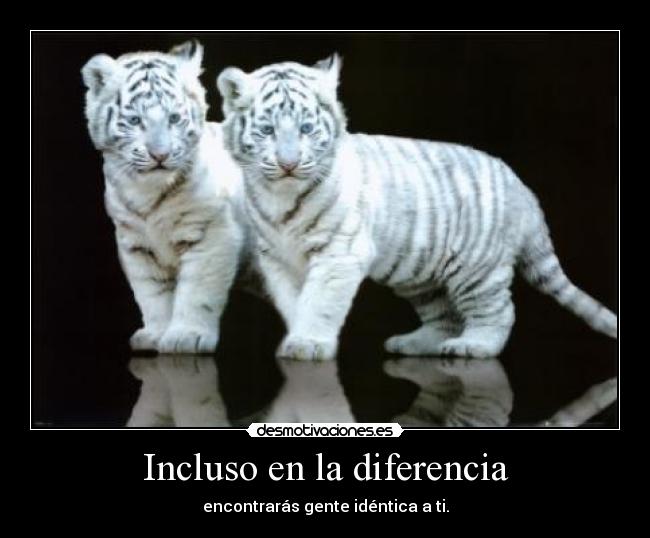 Incluso en la diferencia - encontrarás gente idéntica a ti.