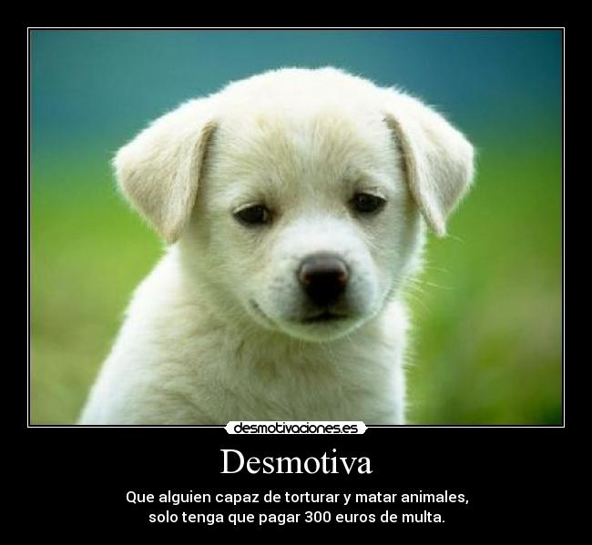 Desmotiva -