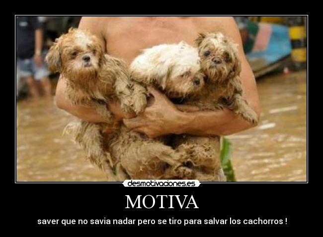MOTIVA - 