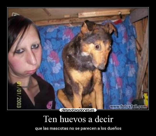 Ten huevos a decir -