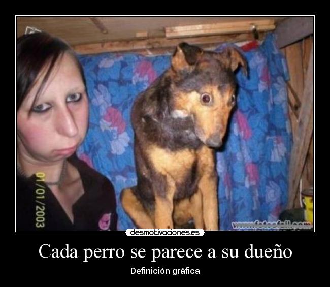 carteles iguales desmotivaciones