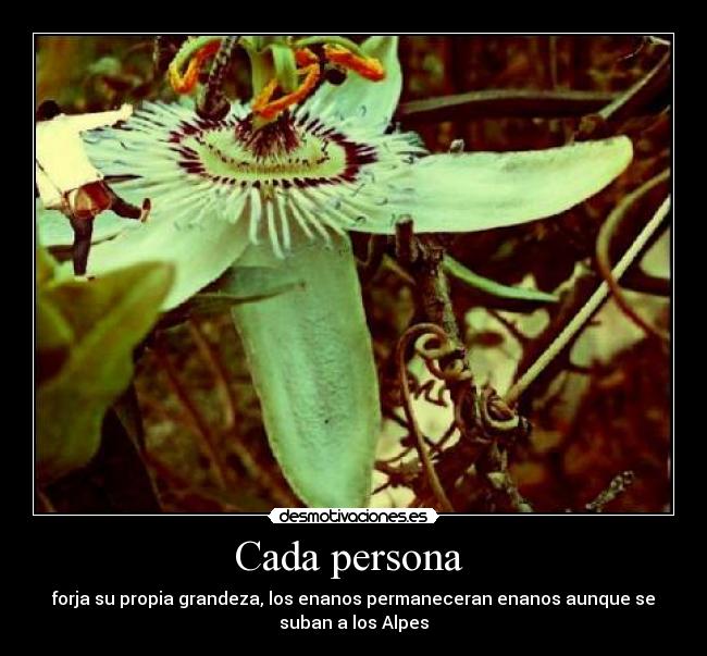 Cada persona  - 