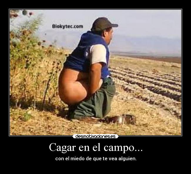 Cagar en el campo... - 