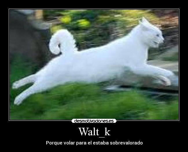 Walt_k - Porque volar para el estaba sobrevalorado