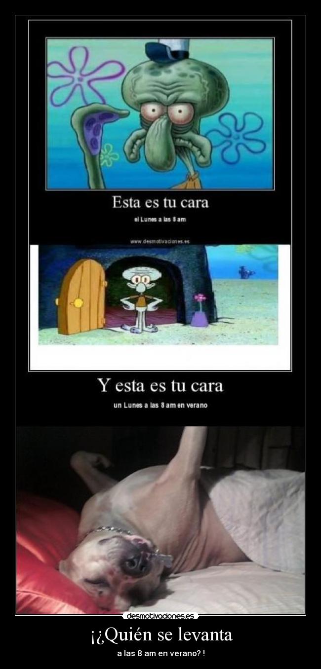 ¡¿Quién se levanta - a las 8 am en verano? !