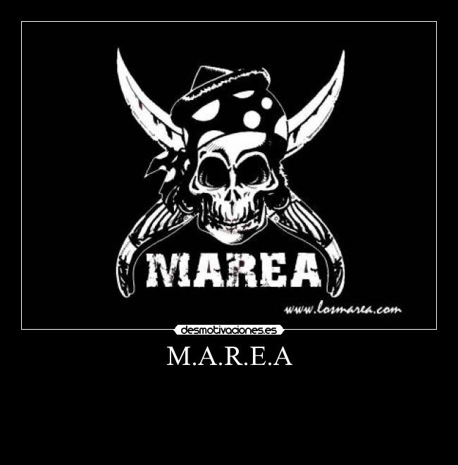 M.A.R.E.A - 
