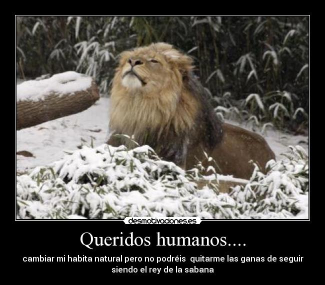 Queridos humanos.... - 