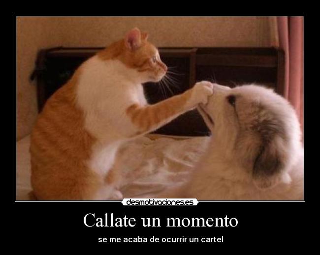 carteles poloki desmotivaciones