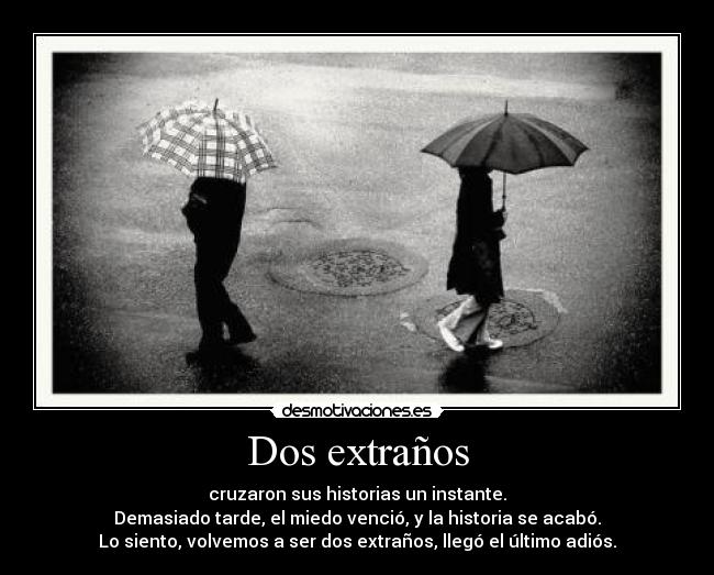 Dos extraños - cruzaron sus historias un instante.
Demasiado tarde, el miedo venció, y la historia se acabó.
Lo siento, volvemos a ser dos extraños, llegó el último adiós.
