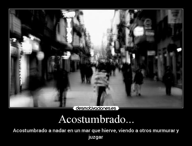 Acostumbrado... - Acostumbrado a nadar en un mar que hierve, viendo a otros murmurar y juzgar