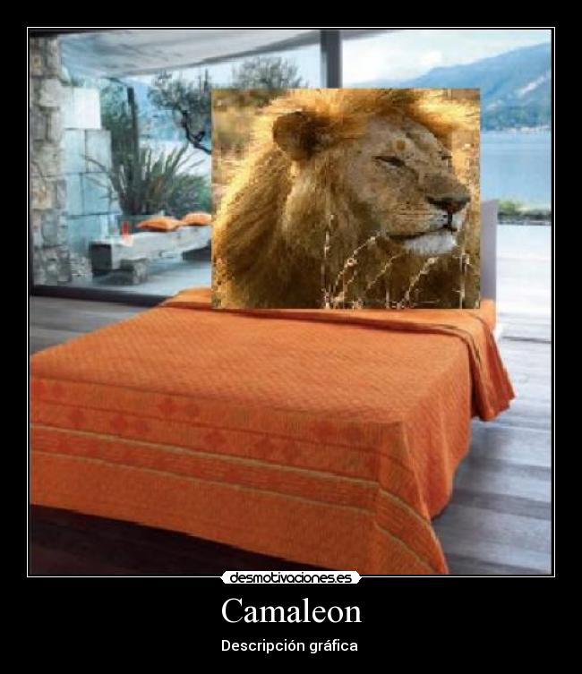 Camaleon - Descripción gráfica 