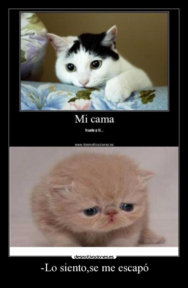 -Lo siento,se me escapó - 