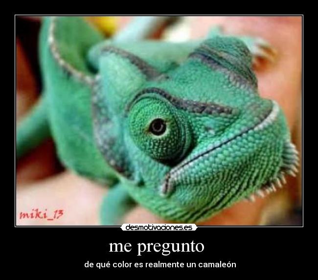 carteles camaleon desmotivaciones