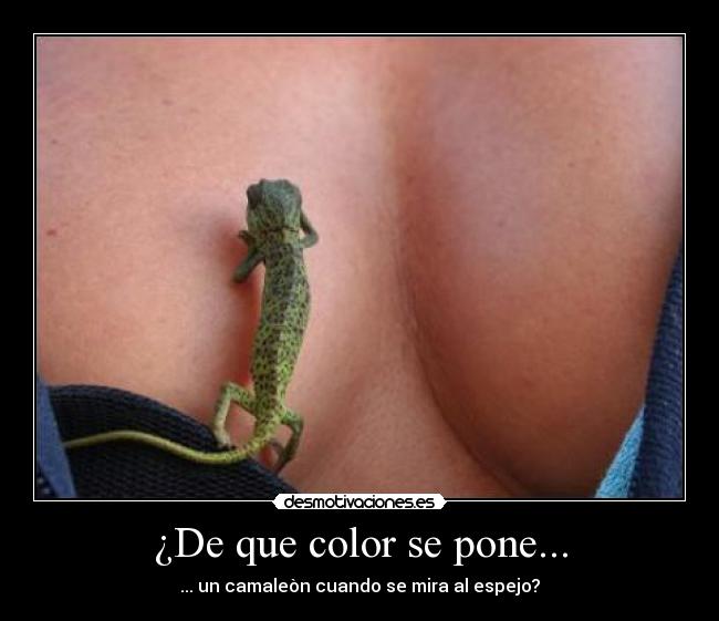 ¿De que color se pone... - 