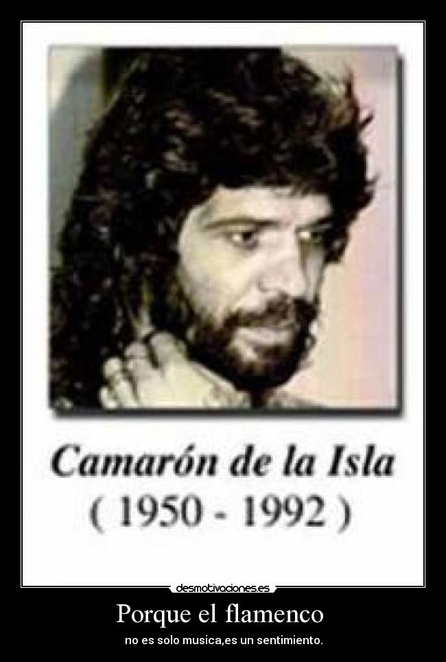 Porque el flamenco  - no es solo musica,es un sentimiento.