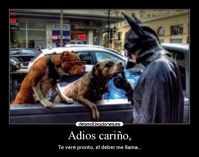 carteles adios carino batman perro deber gafas coche desmotivaciones