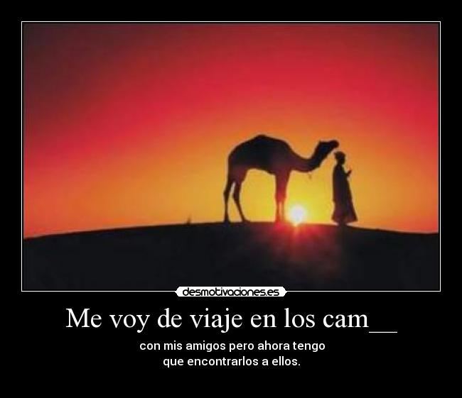 Me voy de viaje en los cam__ -                           con mis amigos pero ahora tengo                         
que encontrarlos a ellos.
