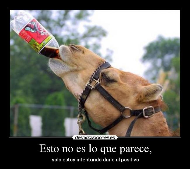 Esto no es lo que parece, -