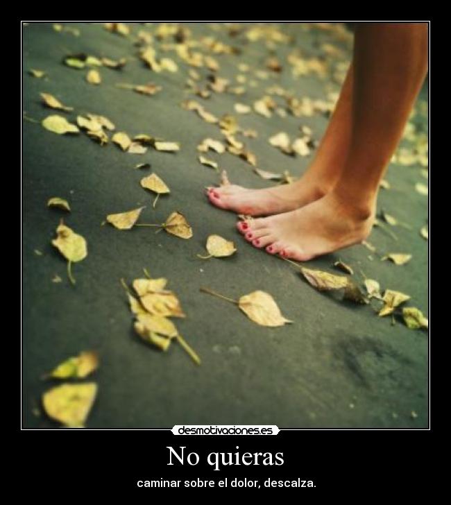 No quieras - 