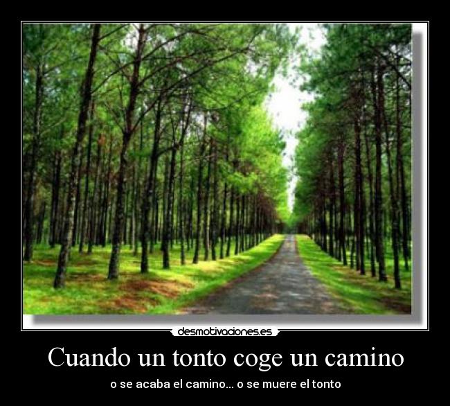 Cuando un tonto coge un camino - o se acaba el camino... o se muere el tonto
