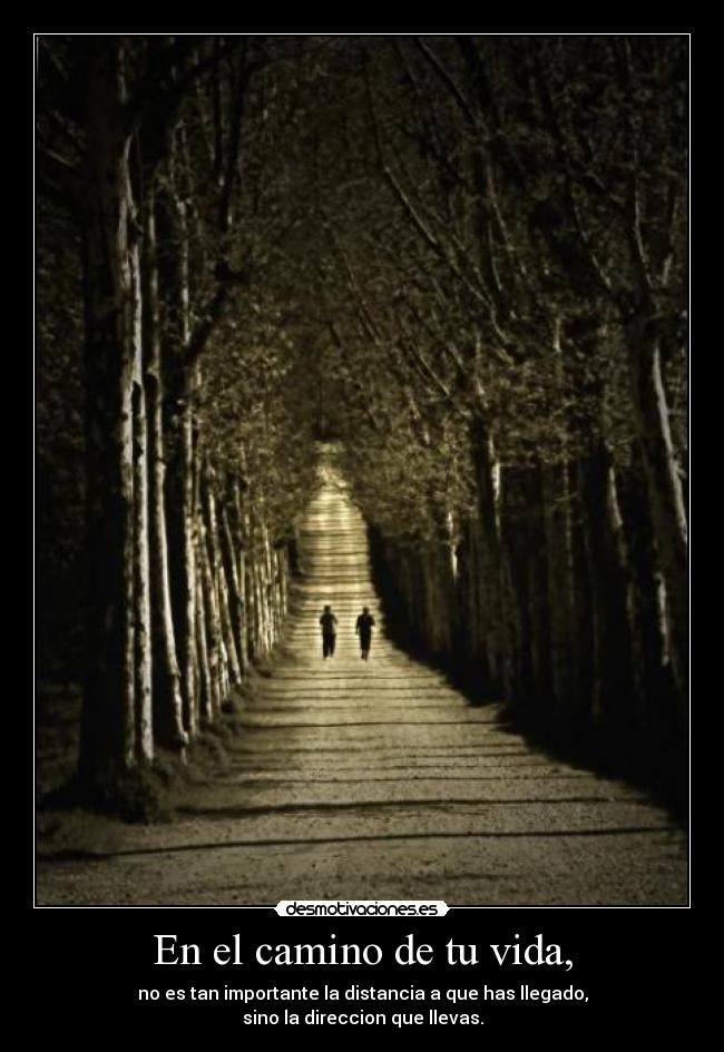 carteles vida vida desmotivaciones