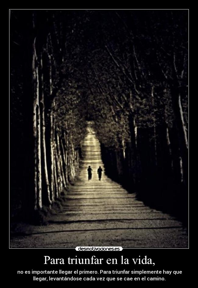 carteles vida levantarse triunfar vida importante primero camino desmotivaciones