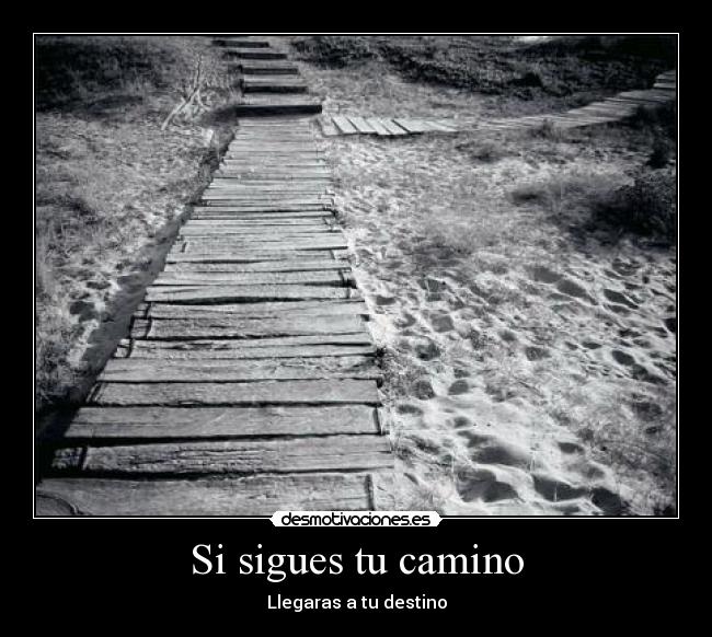 Si sigues tu camino -