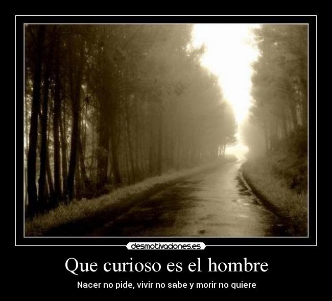 Que curioso es el hombre -