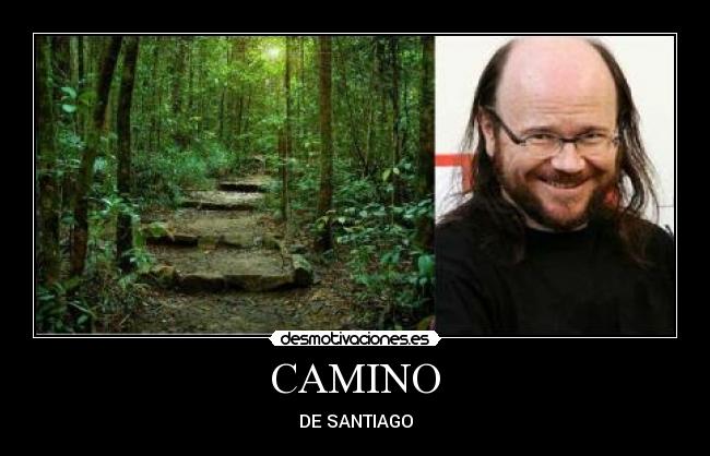 CAMINO - 