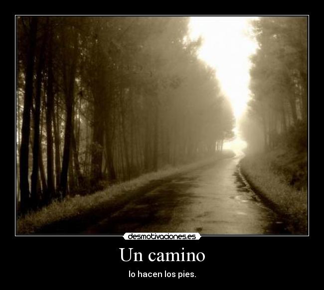 Un camino -