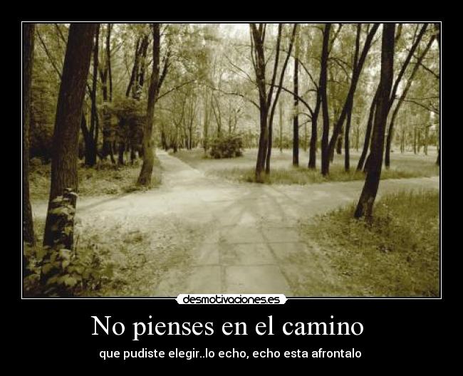 No pienses en el camino  - 