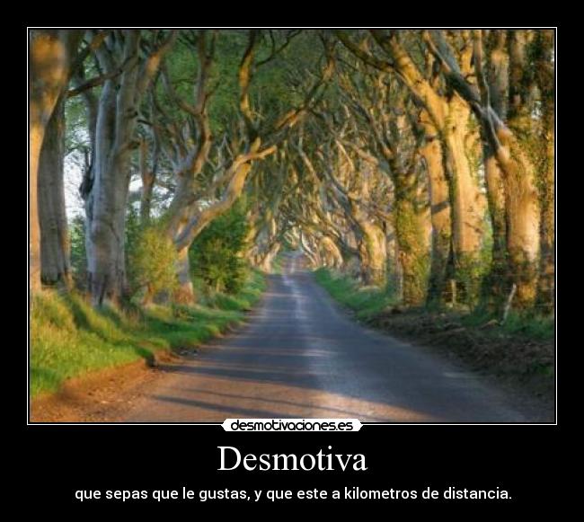 Desmotiva - que sepas que le gustas, y que este a kilometros de distancia.