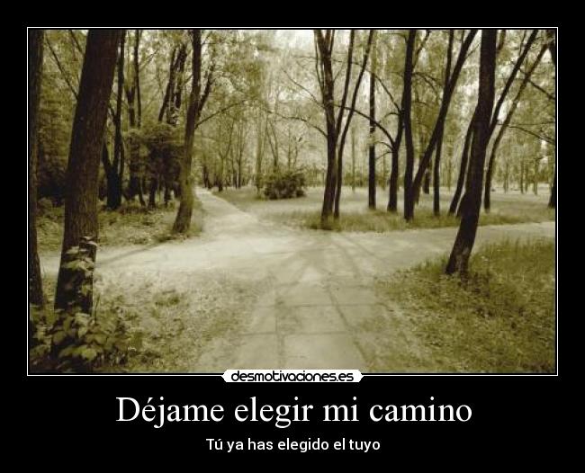Déjame elegir mi camino - Tú ya has elegido el tuyo